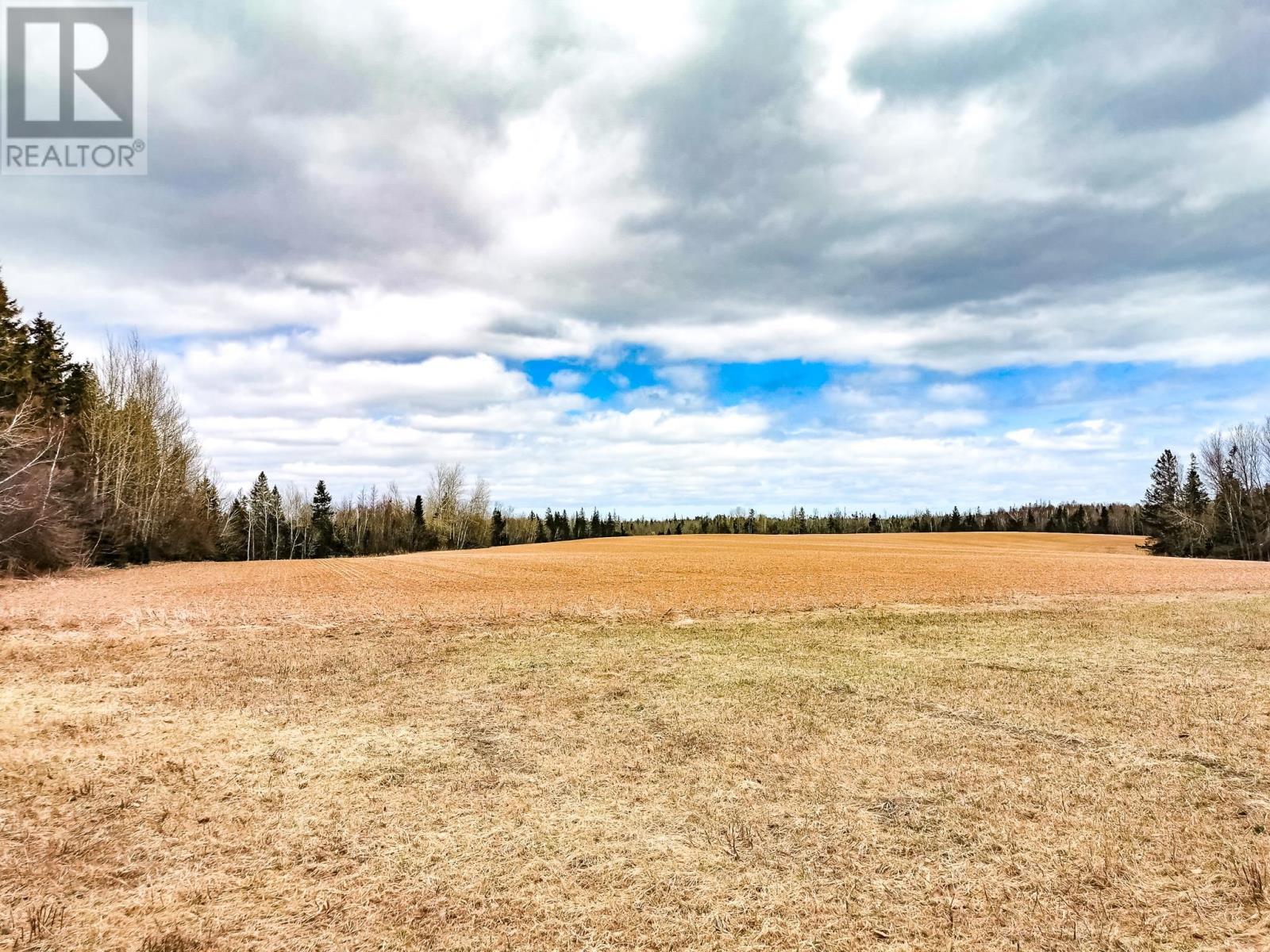 5294 Rte 17, Murray Harbour North, Prince Edward Island  C0A 1R0 - Photo 4 - 202609031