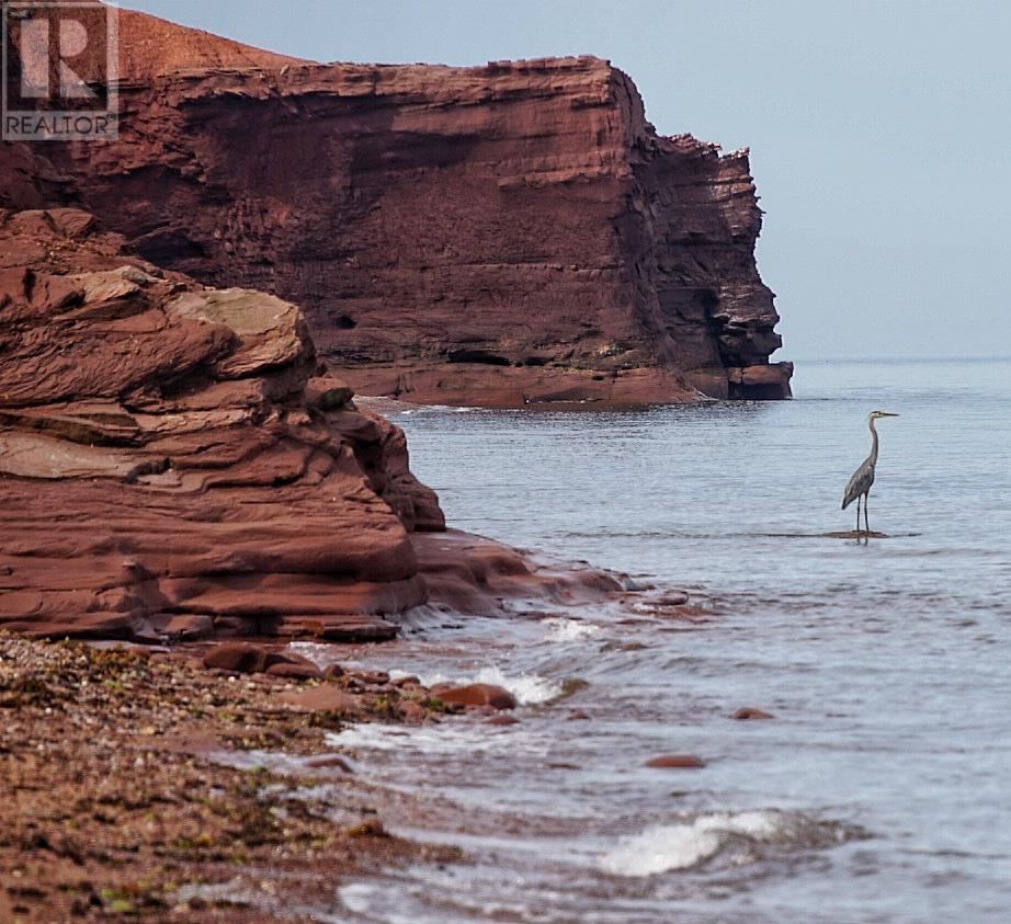 8519 Route 14, Campbellton, Prince Edward Island  C0B 1E0 - Photo 10 - 202609353