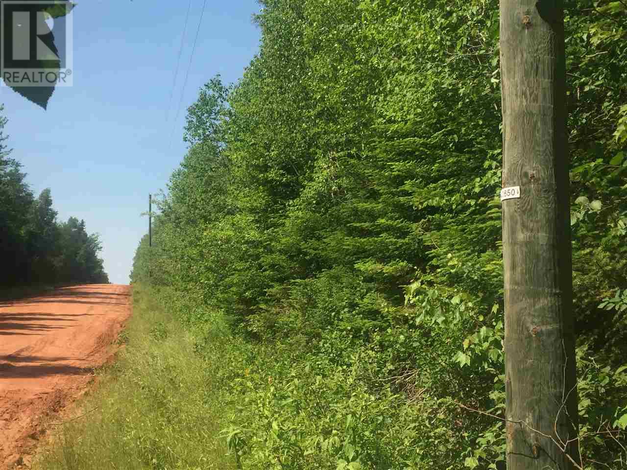 Tbd Green Road, Cardigan, Prince Edward Island  C0A 1G0 - Photo 6 - 202611087