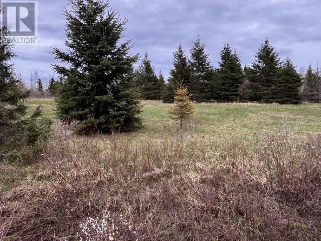 Lot Chapel Road, Cardigan, Prince Edward Island  C0A 1G0 - Photo 1 - 202611288