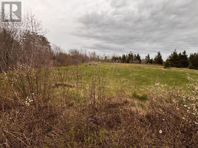Lot Chapel Road, Cardigan, Prince Edward Island  C0A 1G0 - Photo 2 - 202611288