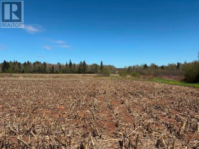 37196 Western Road, 37196 Rte 2, Carleton, Prince Edward Island  C0B 1H0 - Photo 2 - 202611615