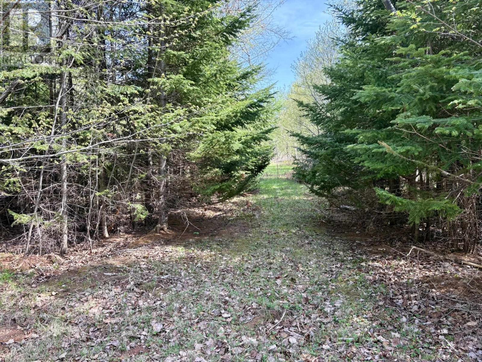 Lot 32 Eagles View Lane, Malpeque, Prince Edward Island  C0B 1M0 - Photo 25 - 202611774