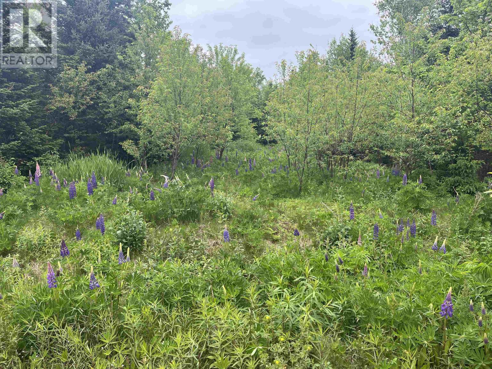0 Driftwood Lane, Stanley Bridge, Prince Edward Island  C0A 1N0 - Photo 1 - 202612035