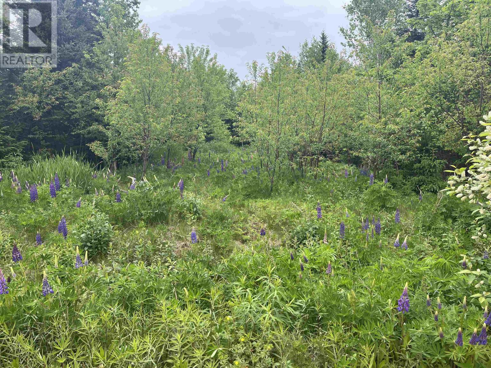 0 Driftwood Lane, Stanley Bridge, Prince Edward Island  C0A 1N0 - Photo 2 - 202612035