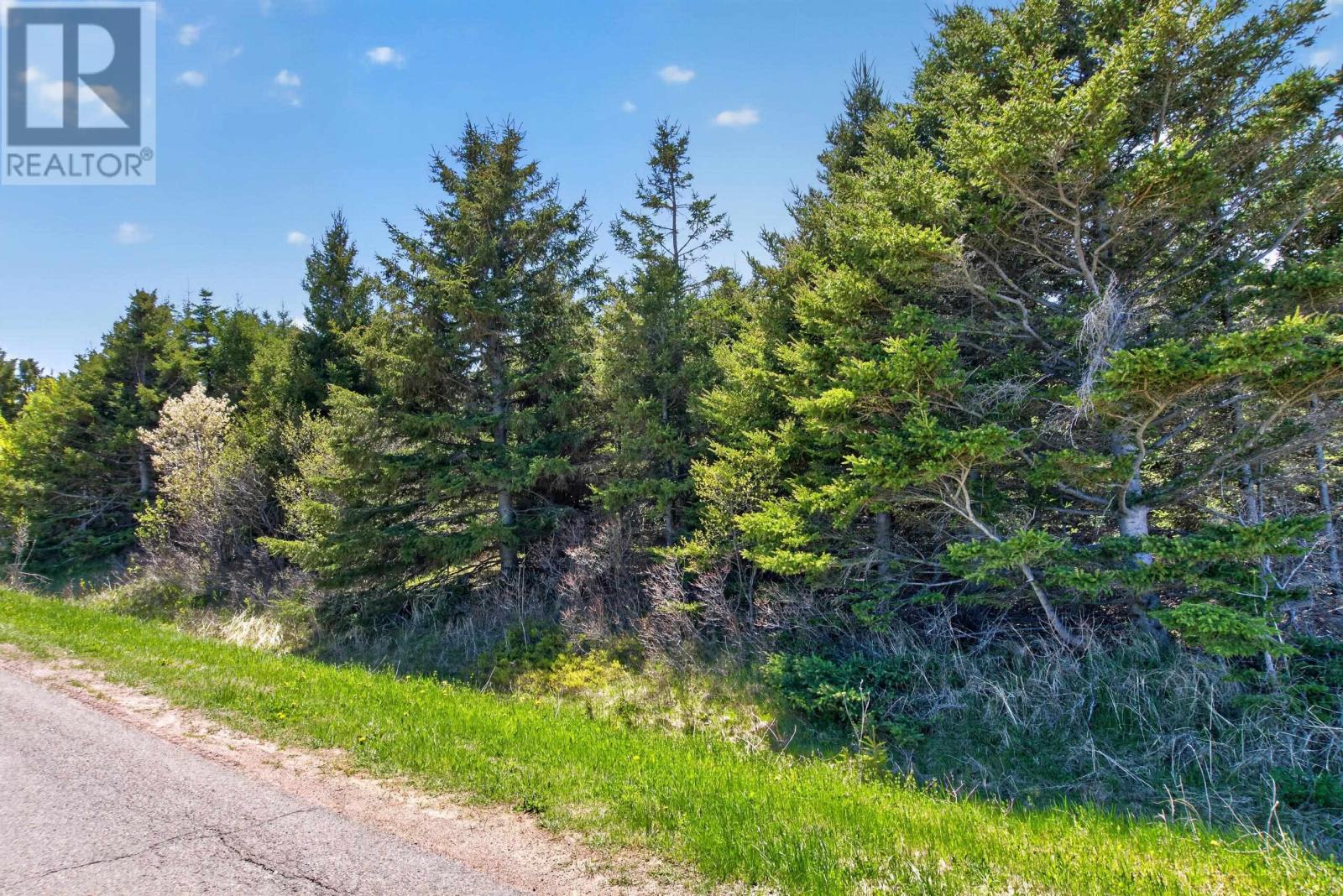 0 King Street, Malpeque, Prince Edward Island  C0B 1M0 - Photo 12 - 202612209