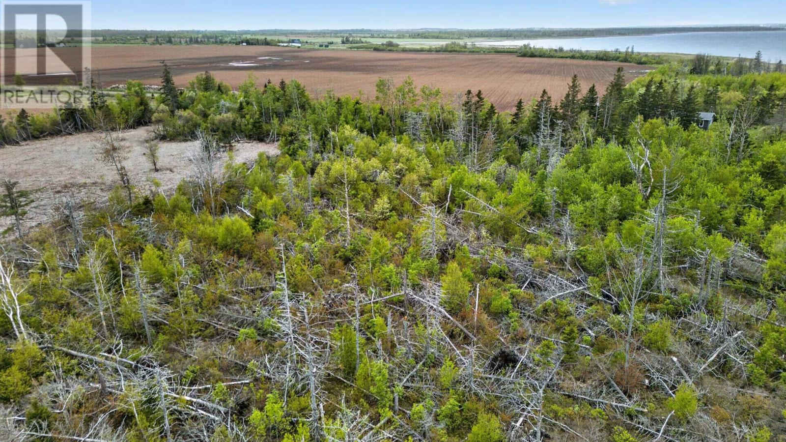 Belmont Park Road, Belmont, Prince Edward Island  C0B 1T0 - Photo 24 - 202612653