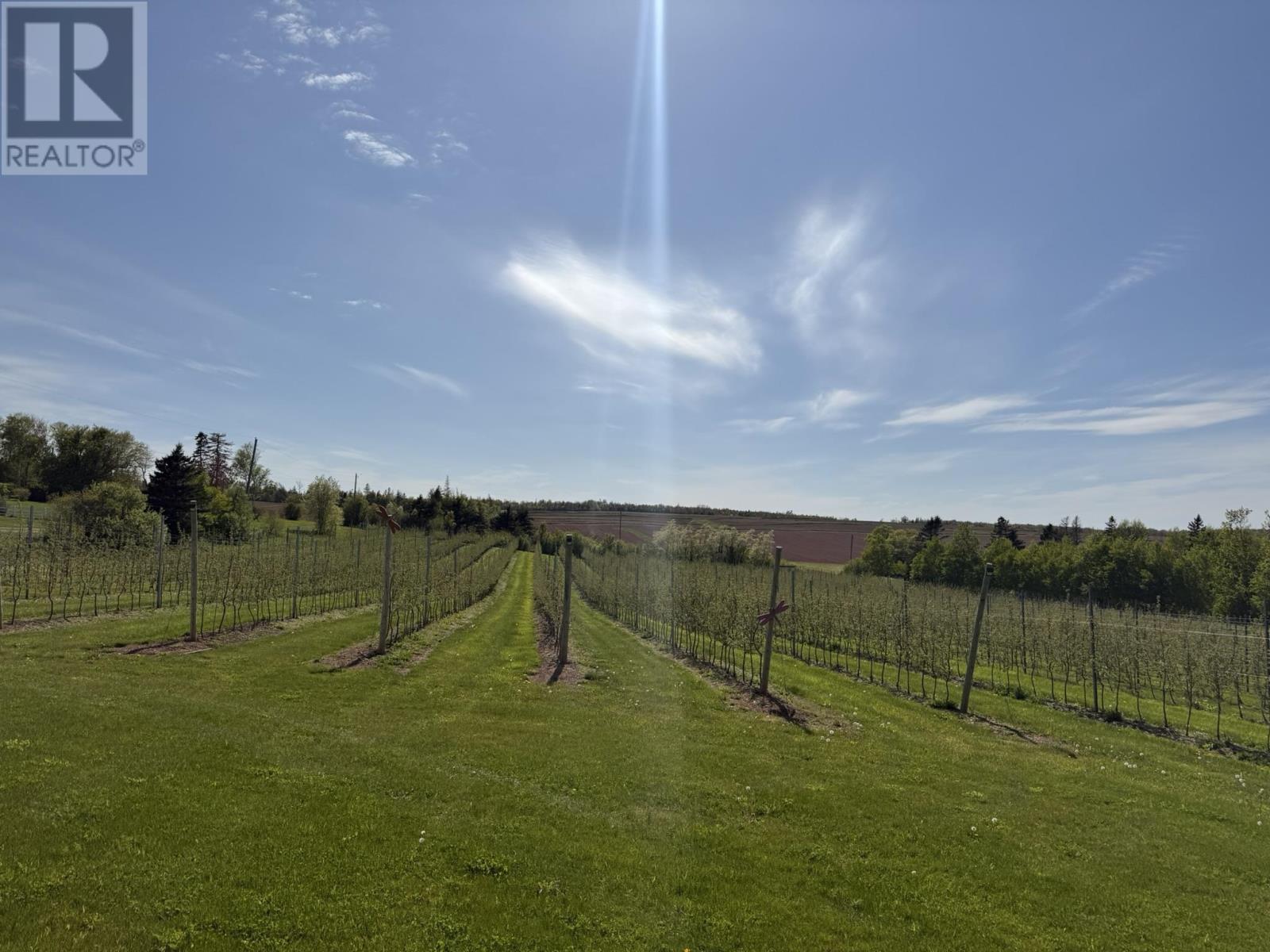 36 Stan Pearson Road, Stanley Bridge, Prince Edward Island  C0B 1M0 - Photo 10 - 202613000