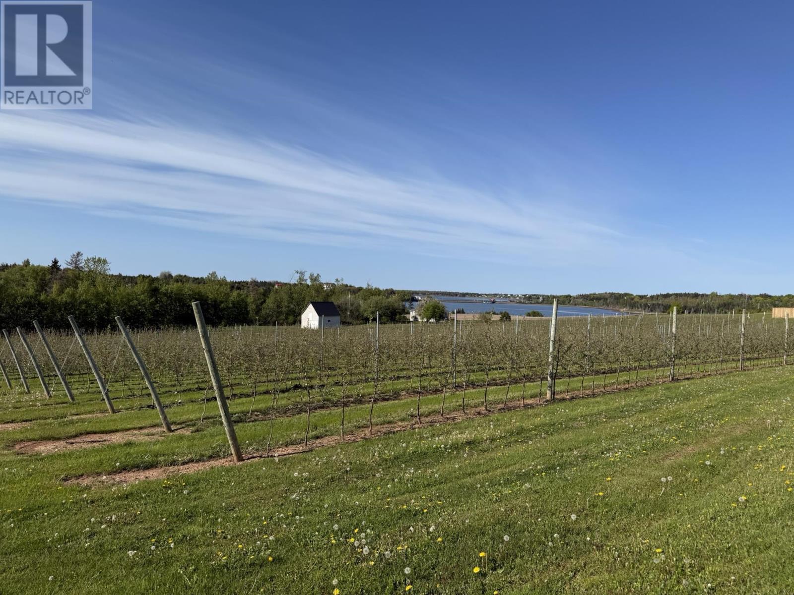 36 Stan Pearson Road, Stanley Bridge, Prince Edward Island  C0B 1M0 - Photo 12 - 202613000