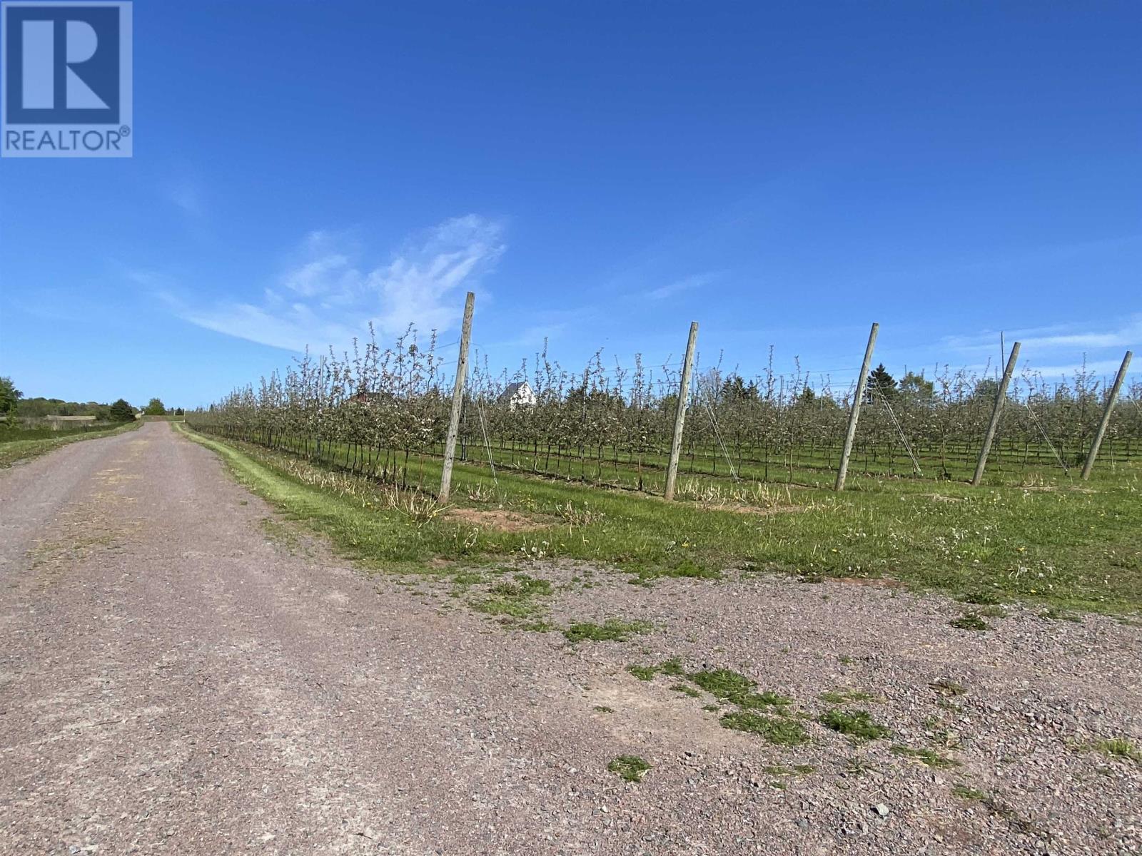 36 Stan Pearson Road, Stanley Bridge, Prince Edward Island  C0B 1M0 - Photo 19 - 202613000