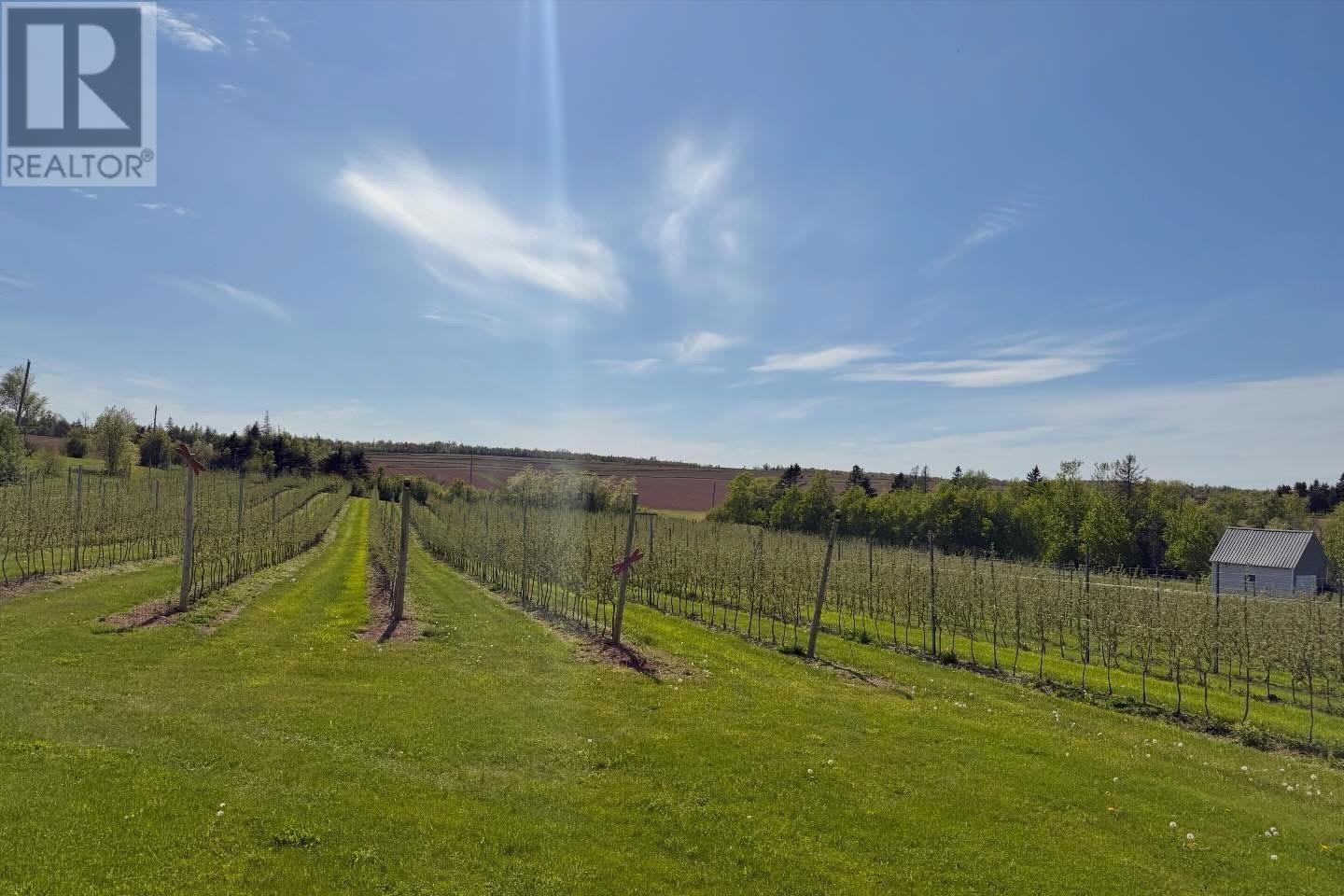 36 Stan Pearson Road, Stanley Bridge, Prince Edward Island  C0B 1M0 - Photo 26 - 202613000