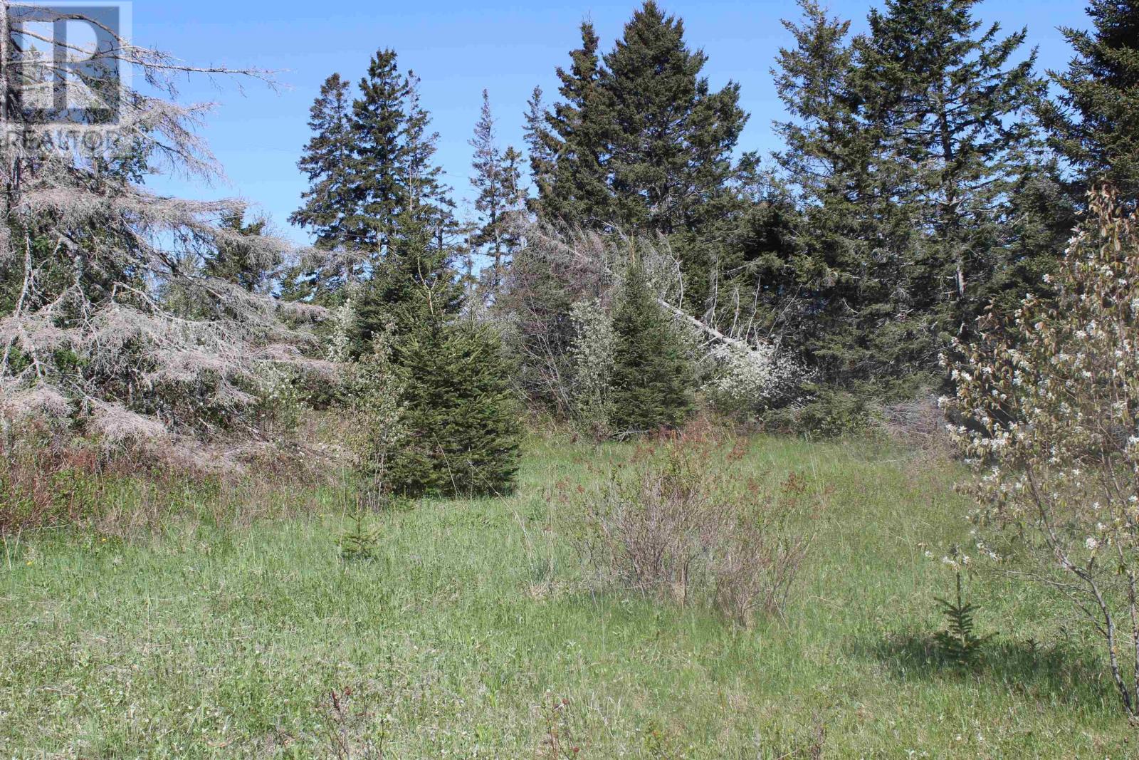 98 Kingfisher Lane, Oyster Bed Bridge, Prince Edward Island  C1E 0N3 - Photo 6 - 202613002