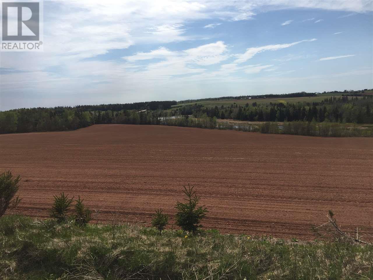 Acreage South Melville Road, Rte 246, Desable, Prince Edward Island  C0A 1J0 - Photo 16 - 202613570