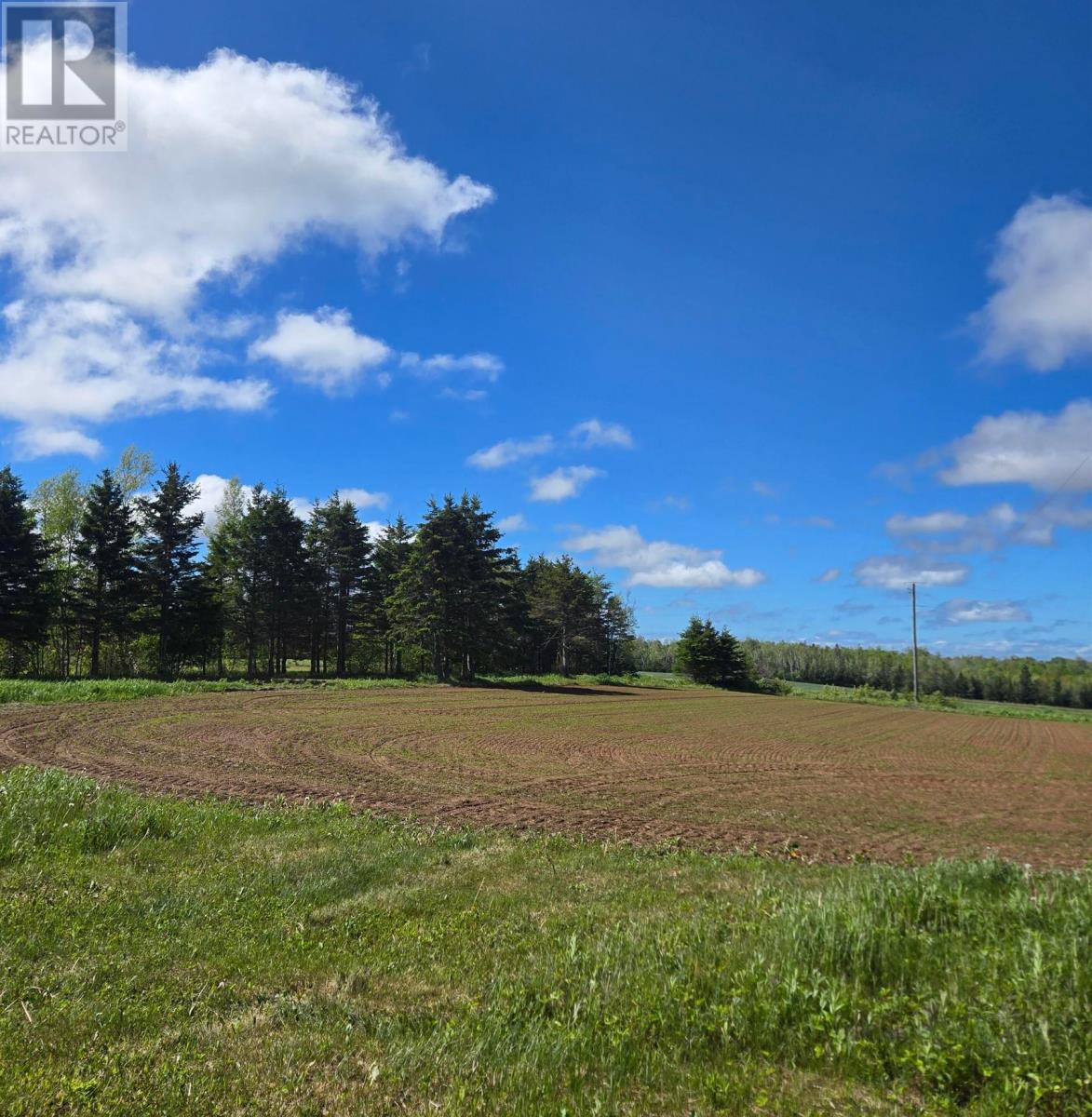 564 Hon J Angus Maclean Road, Caledonia, Prince Edward Island  C0A 1A0 - Photo 15 - 202613624
