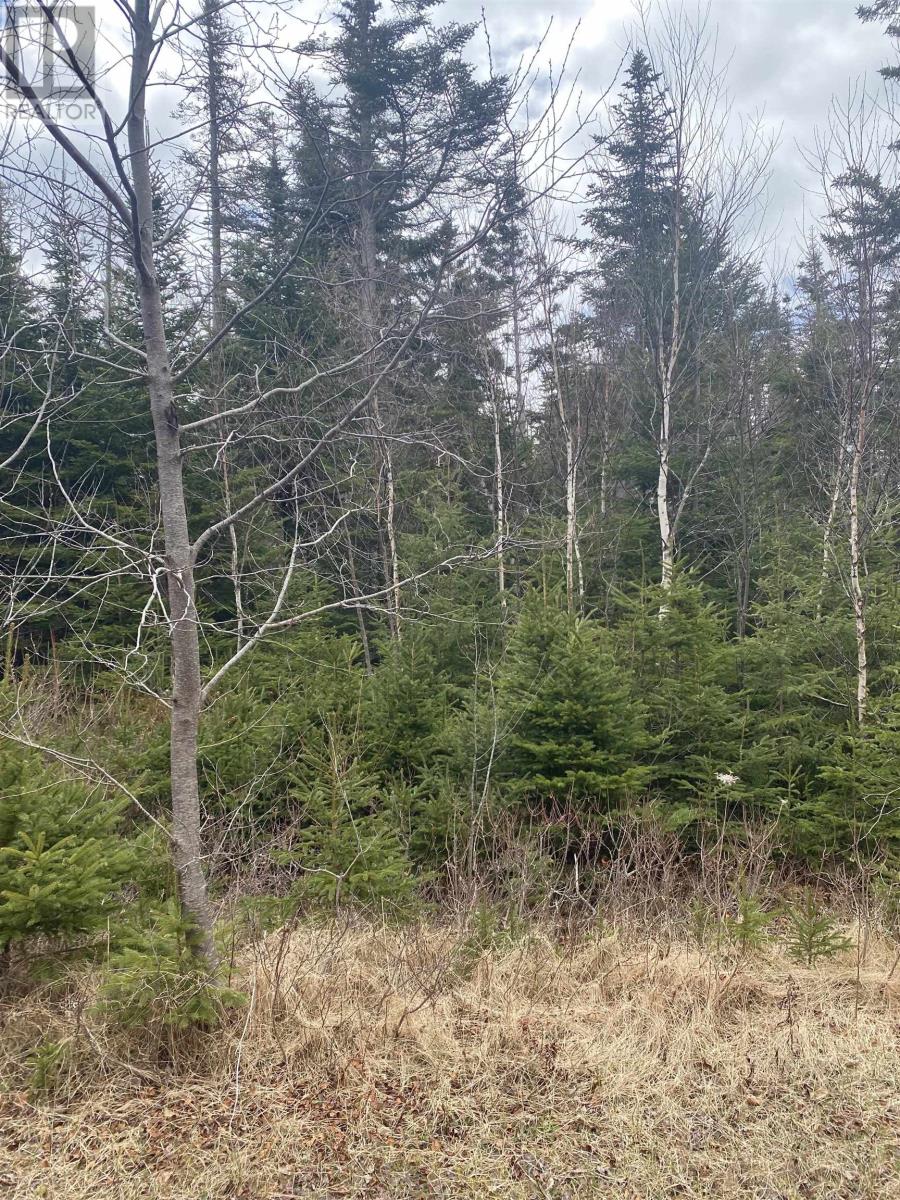 Linda's Lane, Kildare Capes, Prince Edward Island  C0B 2B0 - Photo 3 - 202614185