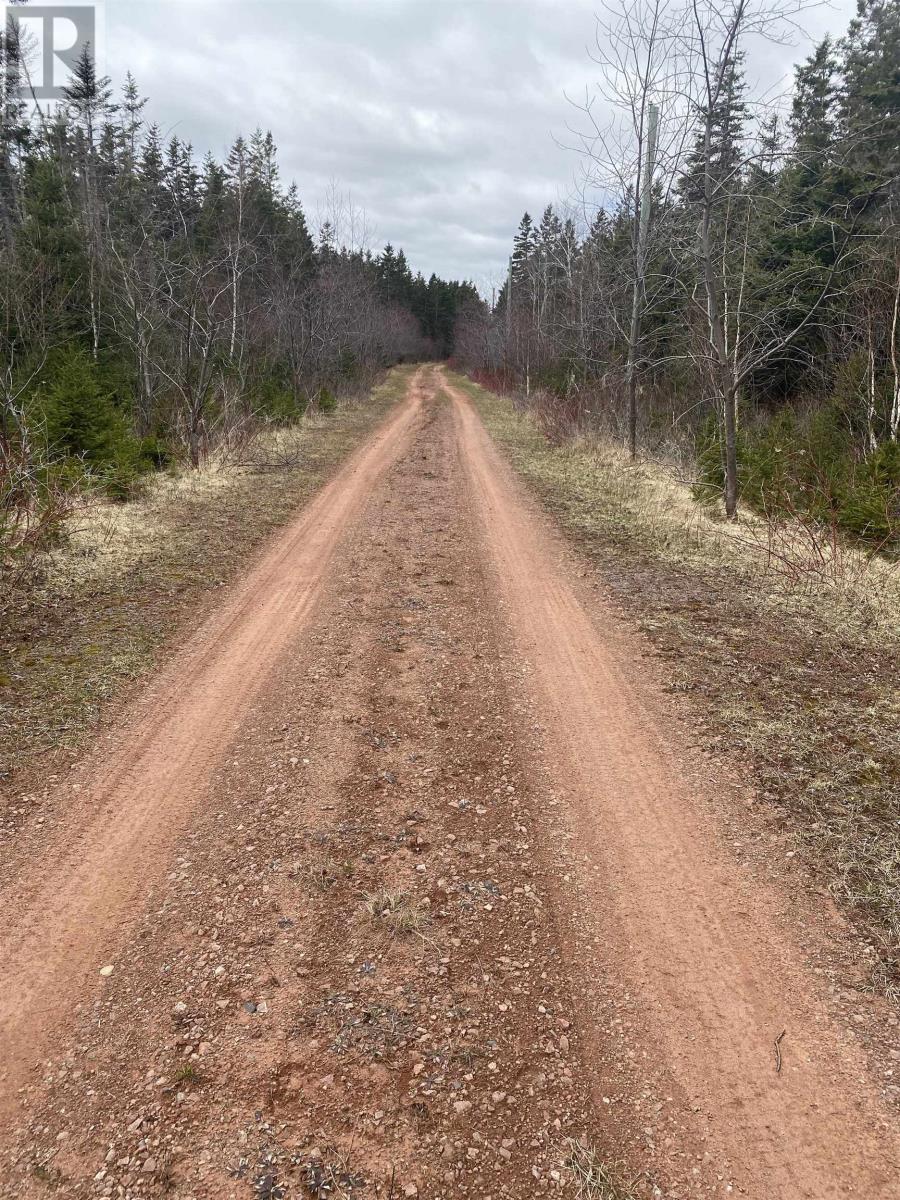 Linda's Lane, Kildare Capes, Prince Edward Island  C0B 2B0 - Photo 5 - 202614185