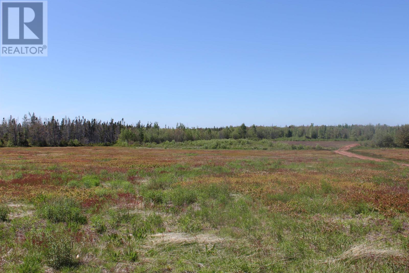 97 Macadam Road, West St. Peters, Prince Edward Island  C0A 1T0 - Photo 34 - 202614303