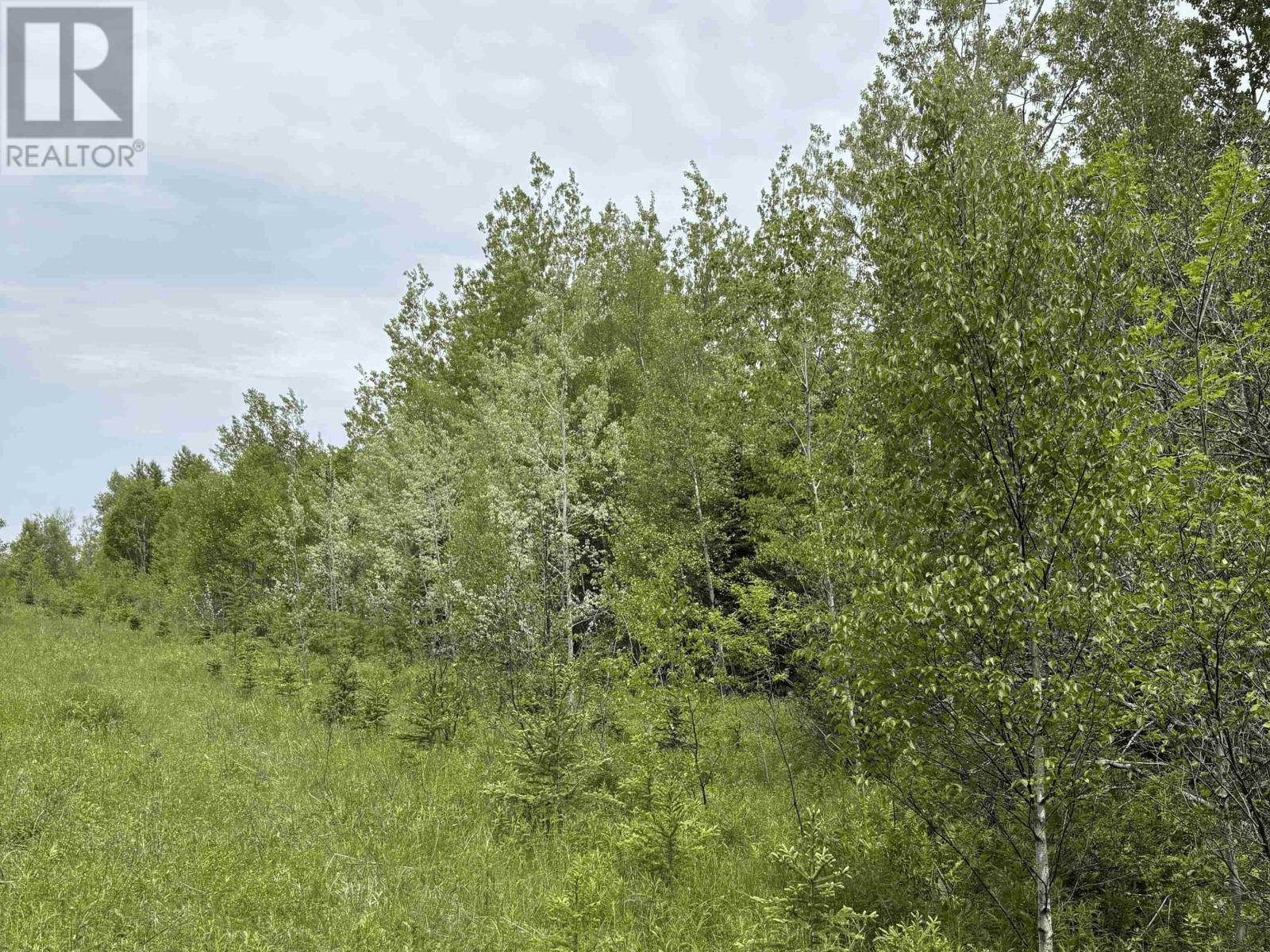 Point Pleasant, Murray River, Prince Edward Island  C0A 1W0 - Photo 19 - 202614530