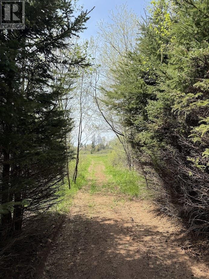 Lot 3 Oyster Bed Park Drive, Wheatley River, Prince Edward Island  C0A 1N0 - Photo 12 - 202614589