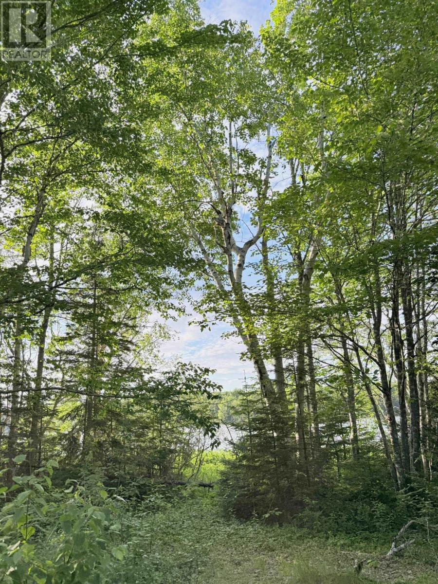 5 Acres Floating Bridge Road, Rte 202, Murray River, Prince Edward Island  C0A 1W0 - Photo 12 - 202614673