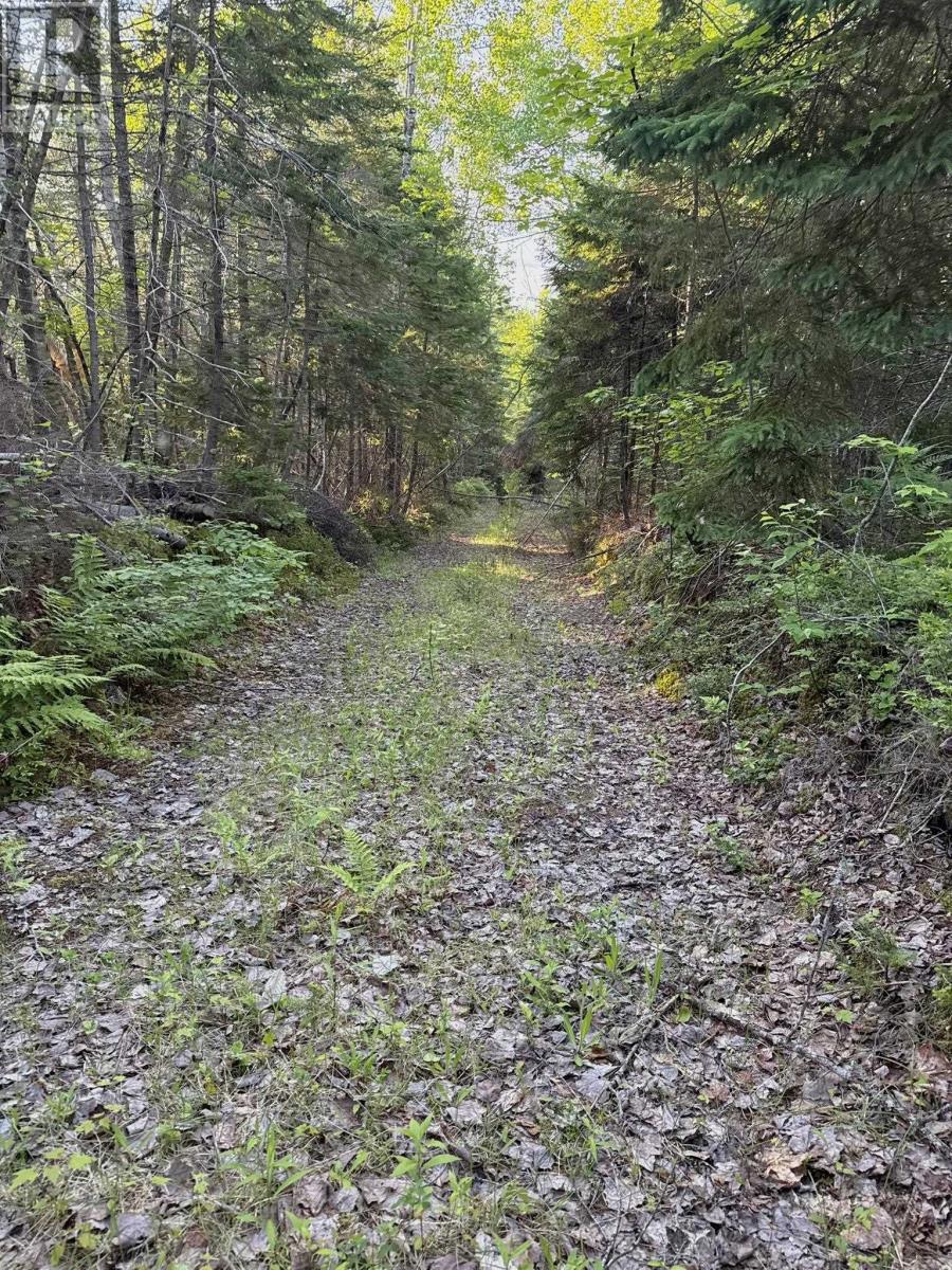 5 Acres Floating Bridge Road, Rte 202, Murray River, Prince Edward Island  C0A 1W0 - Photo 17 - 202614673