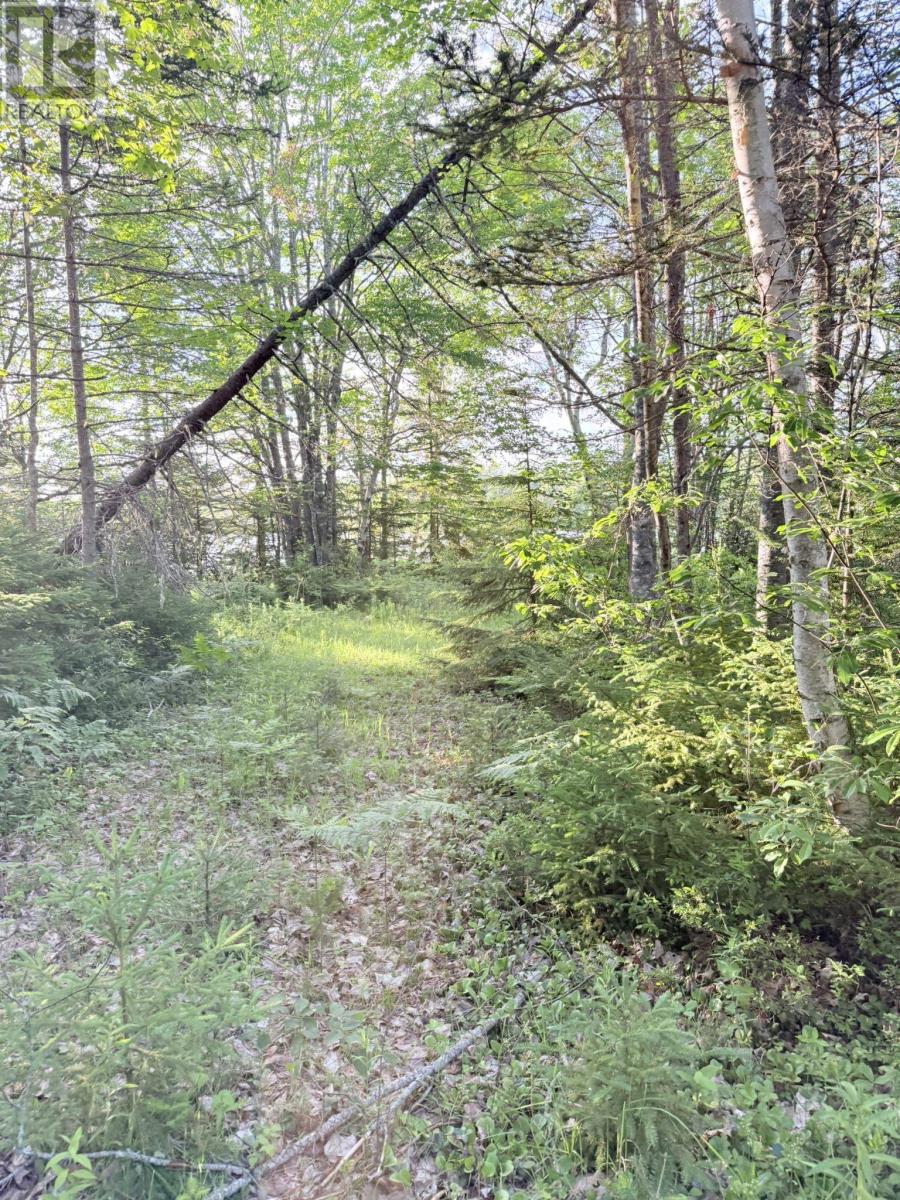 5 Acres Floating Bridge Road, Rte 202, Murray River, Prince Edward Island  C0A 1W0 - Photo 19 - 202614673