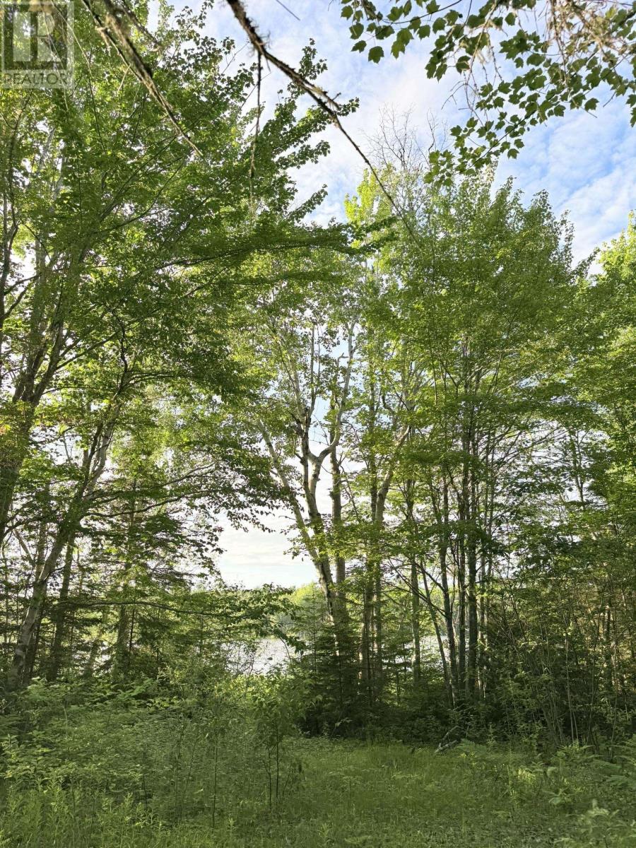 5 Acres Floating Bridge Road, Rte 202, Murray River, Prince Edward Island  C0A 1W0 - Photo 20 - 202614673
