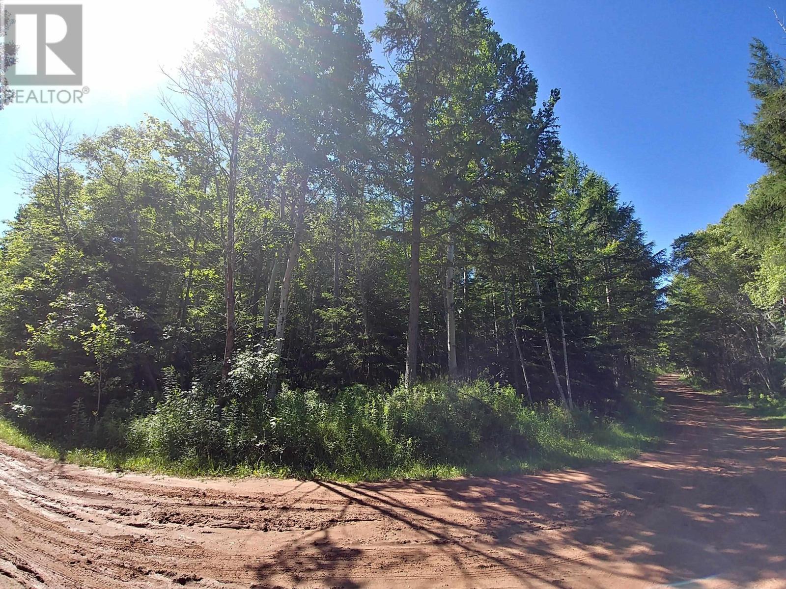 Lot 4 Birch Lane, Georgetown Royalty, Prince Edward Island  C0A 1L0 - Photo 14 - 202615156