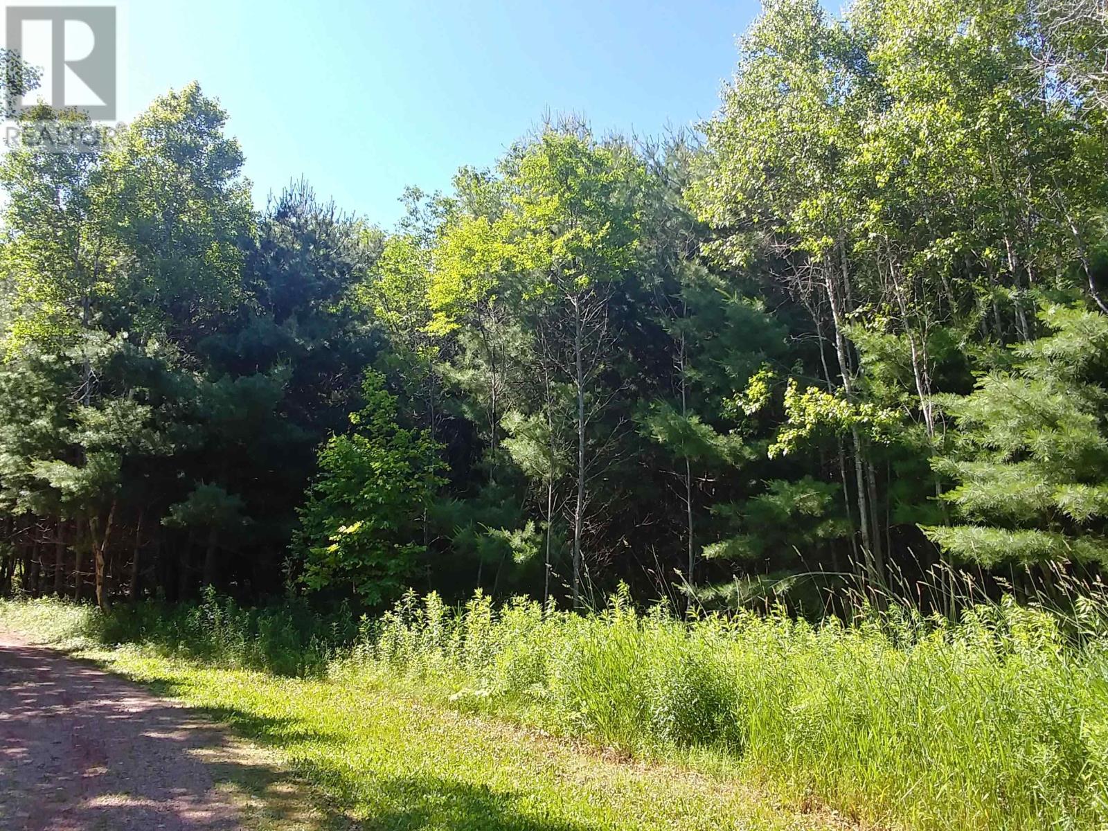Lot 14 Birch Lane, Georgetown Royalty, Prince Edward Island  C0A 1L0 - Photo 10 - 202615173