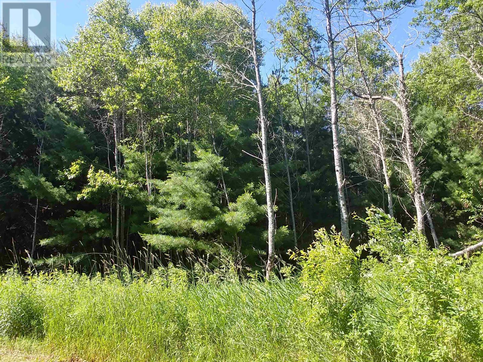 Lot 14 Birch Lane, Georgetown Royalty, Prince Edward Island  C0A 1L0 - Photo 4 - 202615173