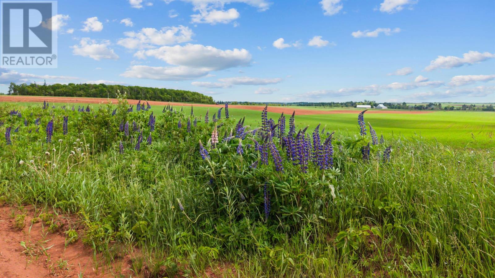 362 Mount Tryon Road, Mount Tryon, Prince Edward Island  C0A 1A0 - Photo 3 - 202615300