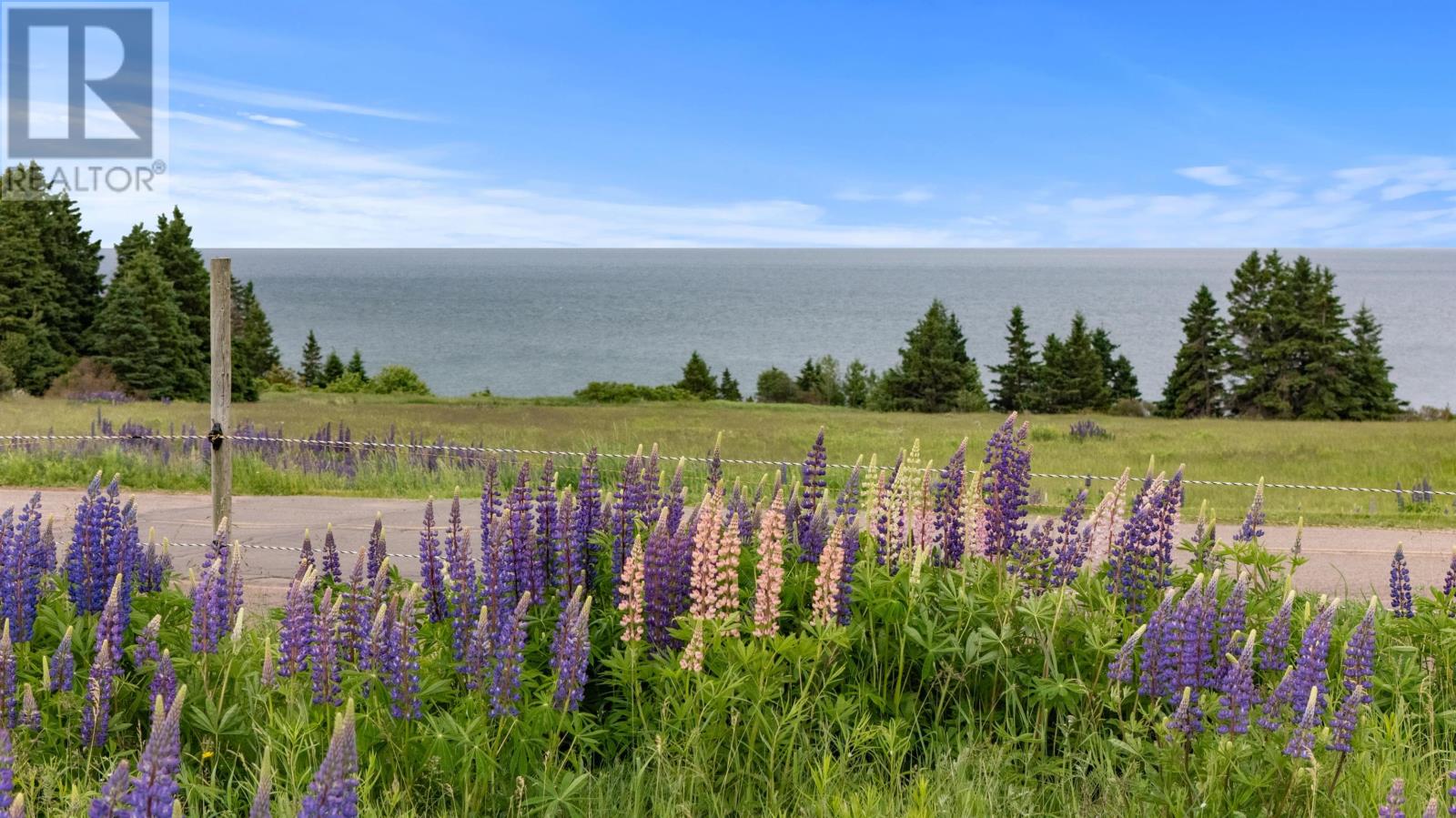 10466 Normans Road, High Bank, Prince Edward Island  C0A 1W0 - Photo 8 - 202615727