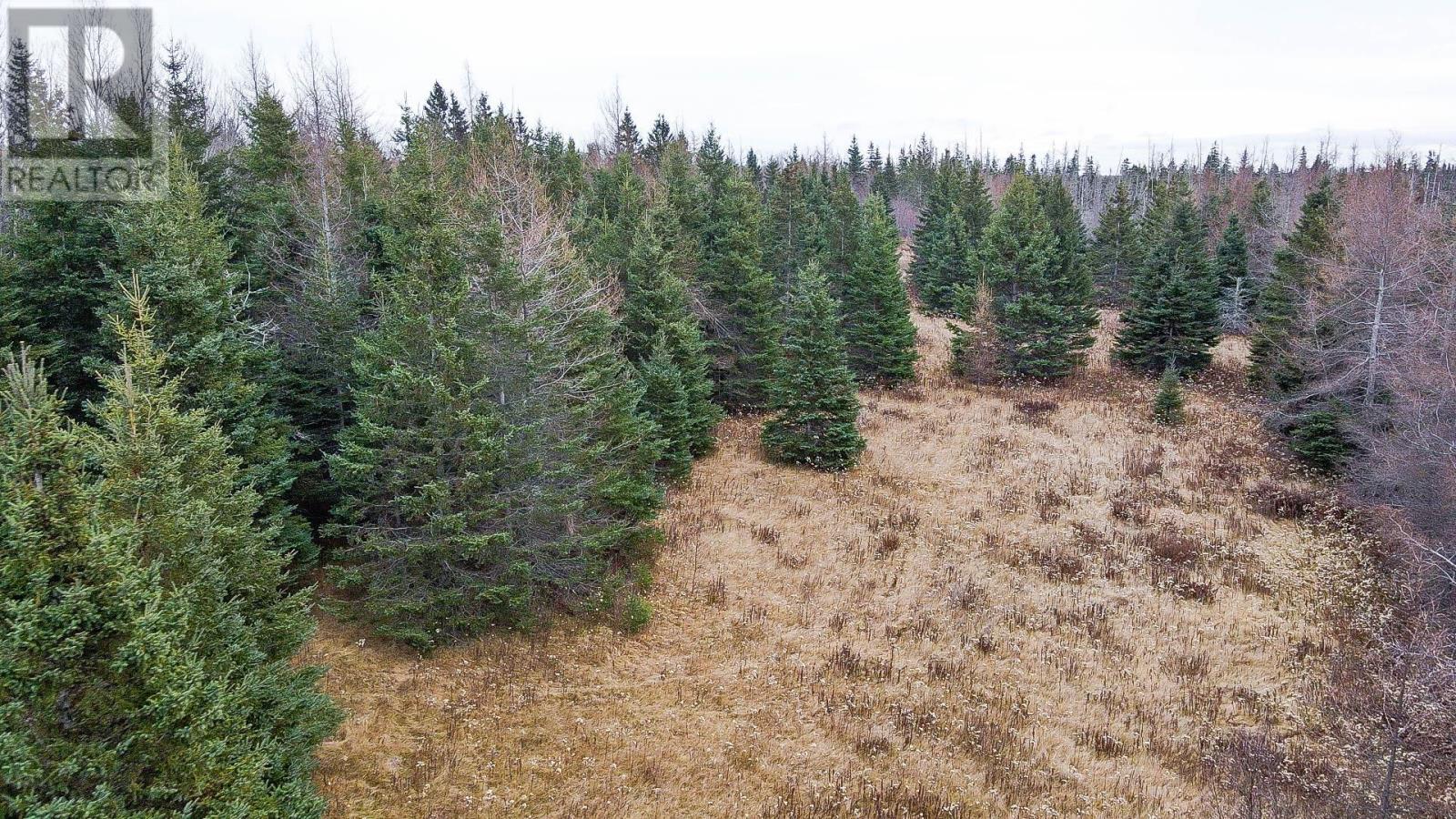 Land Annandale Road, Route 310, Poplar Point, Prince Edward Island  C0A 1G0 - Photo 11 - 202616072