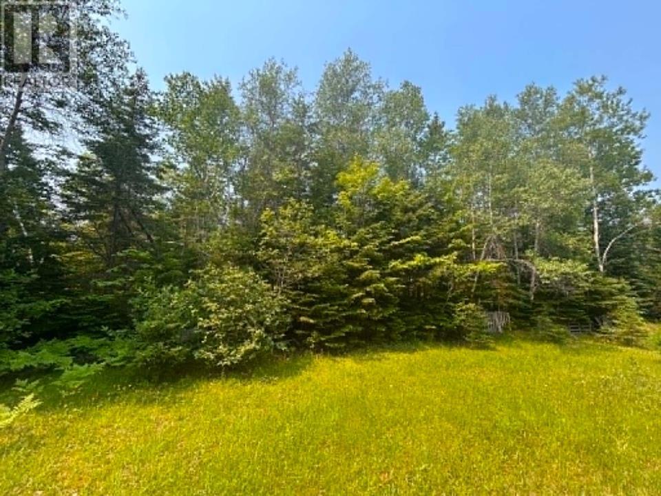 Acreage Mill Road, St. Peters Bay, Prince Edward Island  C0A 2A0 - Photo 11 - 202616181