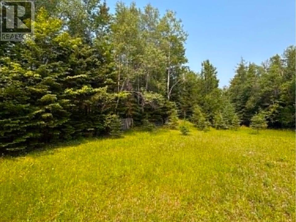 Acreage Mill Road, St. Peters Bay, Prince Edward Island  C0A 2A0 - Photo 12 - 202616181