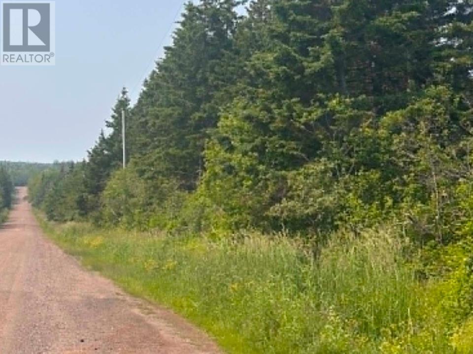 Acreage Mill Road, St. Peters Bay, Prince Edward Island  C0A 2A0 - Photo 13 - 202616181