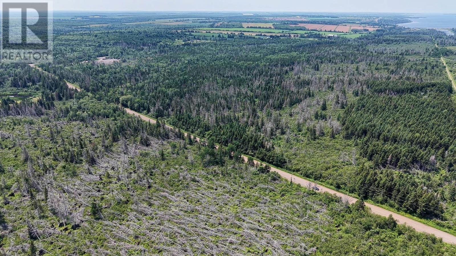 Acreage Mill Road, St. Peters Bay, Prince Edward Island  C0A 2A0 - Photo 15 - 202616181