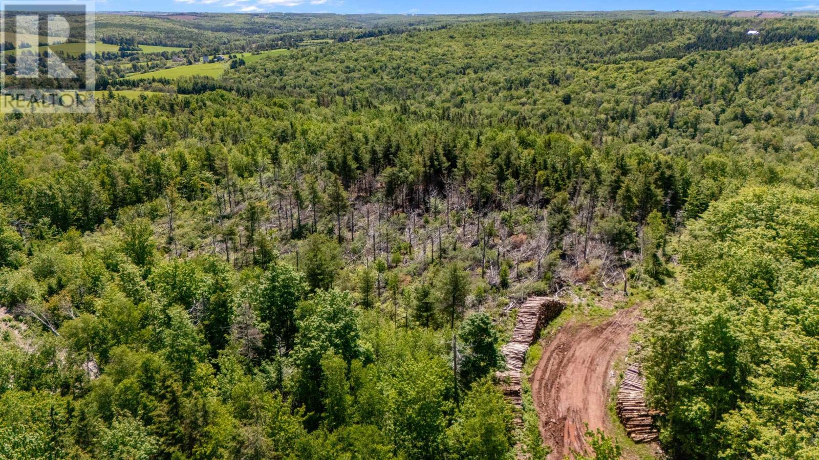 0 Mccourt Road, Millvale, Millvale, Prince Edward Island  C0A 1E0 - Photo 10 - 202616186