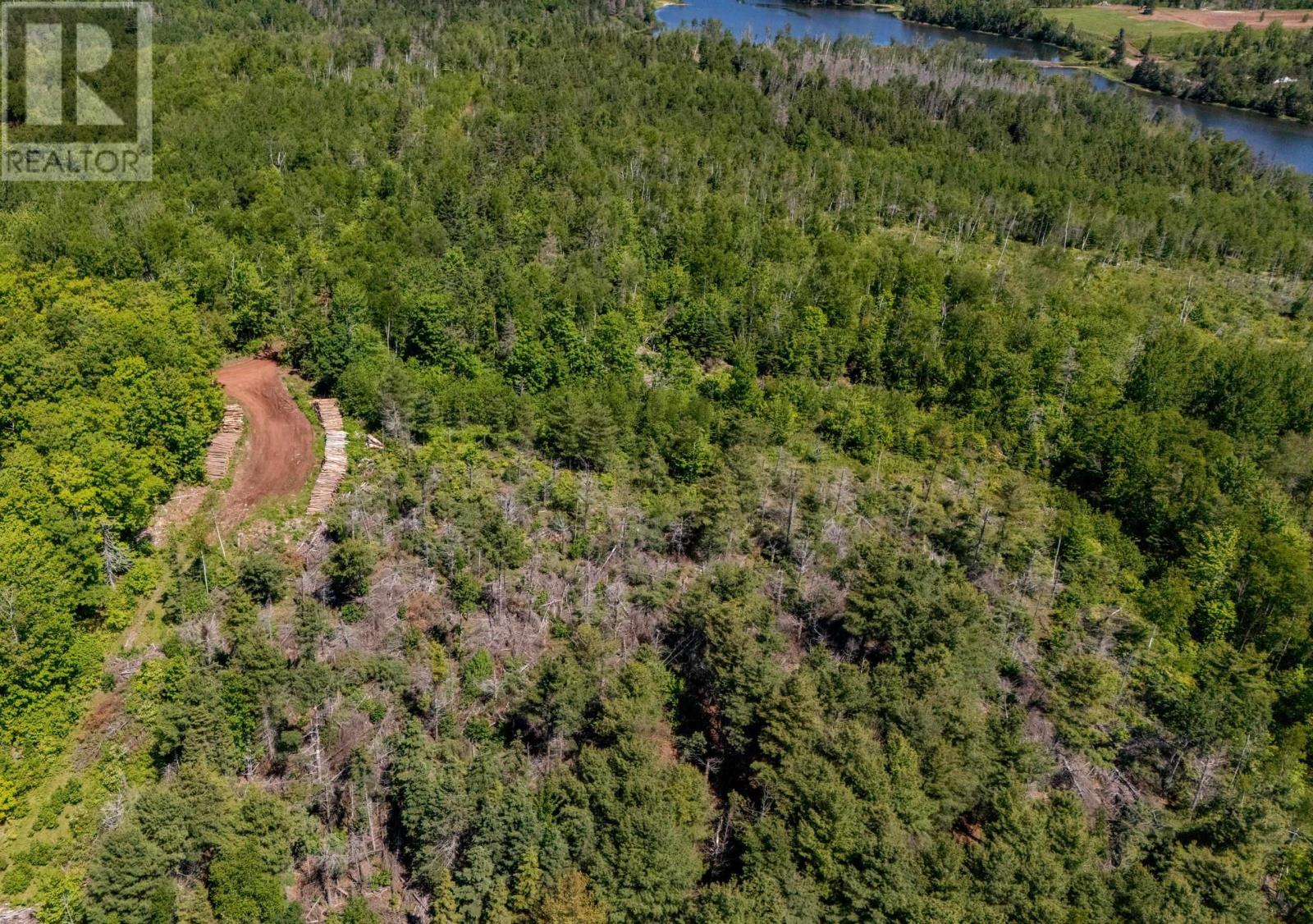 0 Mccourt Road, Millvale, Millvale, Prince Edward Island  C0A 1E0 - Photo 3 - 202616186