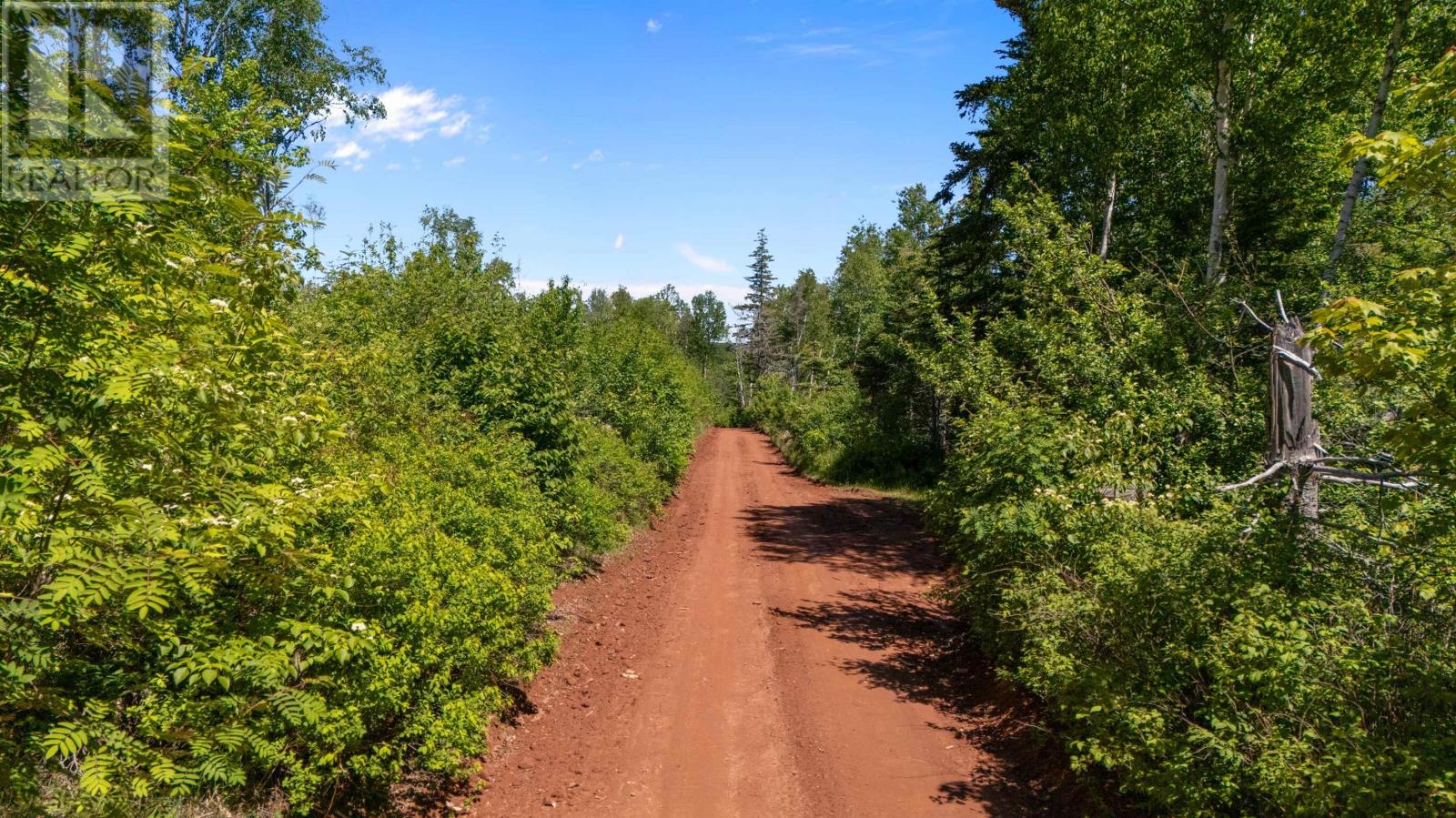 0 Mccourt Road, Millvale, Millvale, Prince Edward Island  C0A 1E0 - Photo 6 - 202616186