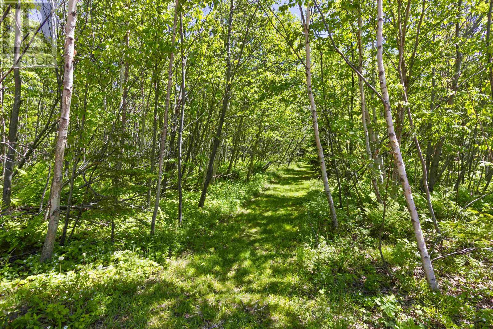 280 Lighthouse Road, East Point, Prince Edward Island  C0A 2B0 - Photo 46 - 202616243