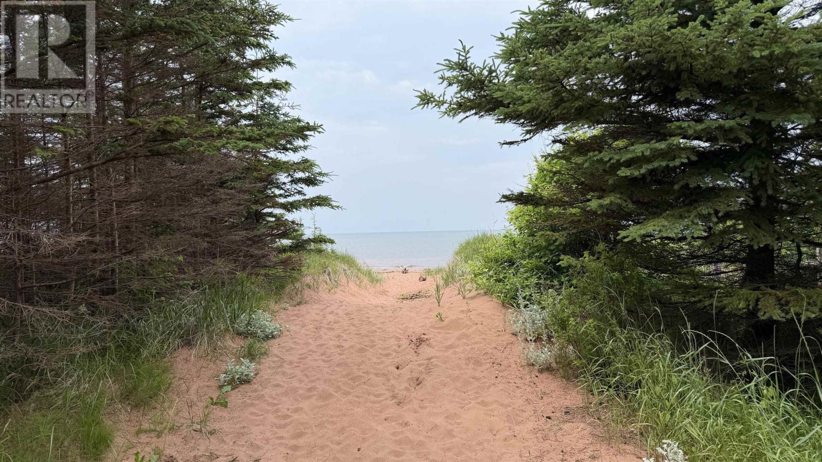 19 Tracey Avenue, North Carleton, Prince Edward Island  C0B 1A0 - Photo 44 - 202616327