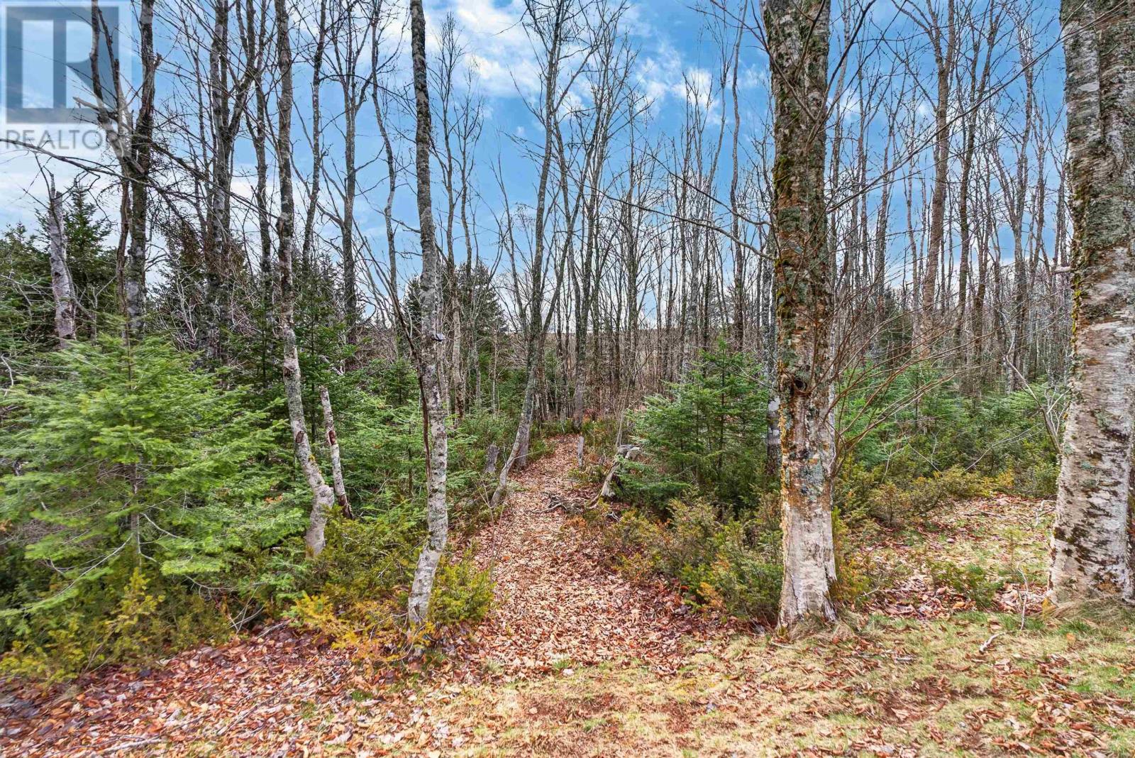 15 Silver Tree Lane, Grahams Road, Prince Edward Island  C1N 2E1 - Photo 23 - 202616528