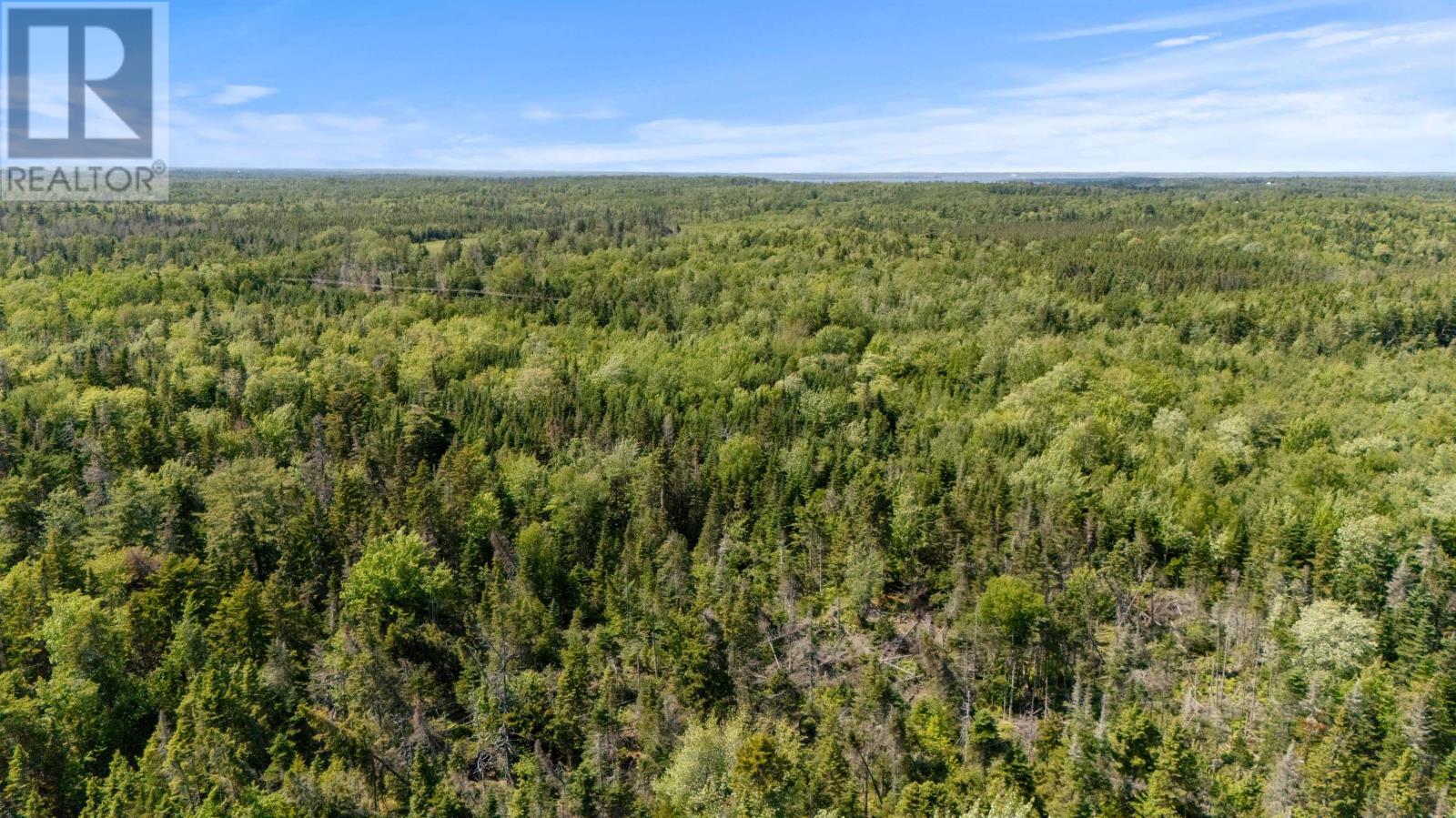 437 Peters Road, Pembroke, Prince Edward Island  C0A 1R0 - Photo 12 - 202616554