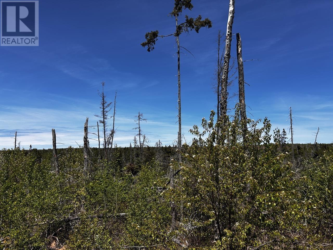 Lot Primrose Road, Cardigan, Prince Edward Island  C0A 1G0 - Photo 2 - 202616942