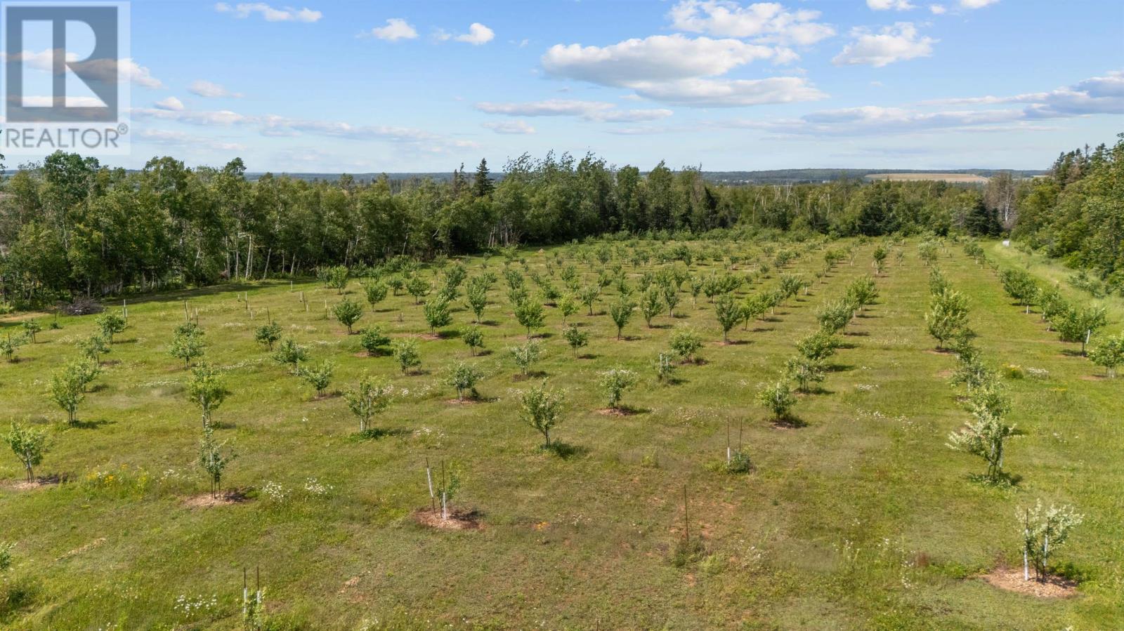 4161 Fort Augustus Road, Fort Augustus, Prince Edward Island  C0A 1T0 - Photo 10 - 202617191