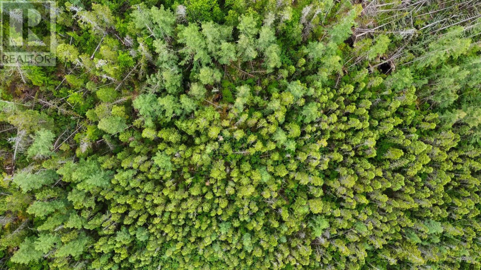Lot 0 Old Dover Road, Murray River, Prince Edward Island  C0A 1W0 - Photo 8 - 202617371