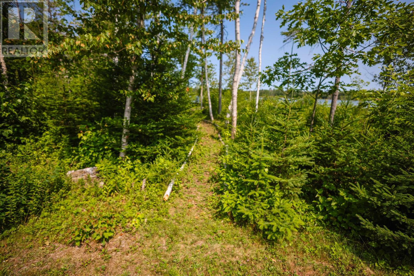 316 Delodder Road, Brudenell, Prince Edward Island  C0A 1R0 - Photo 16 - 202617823
