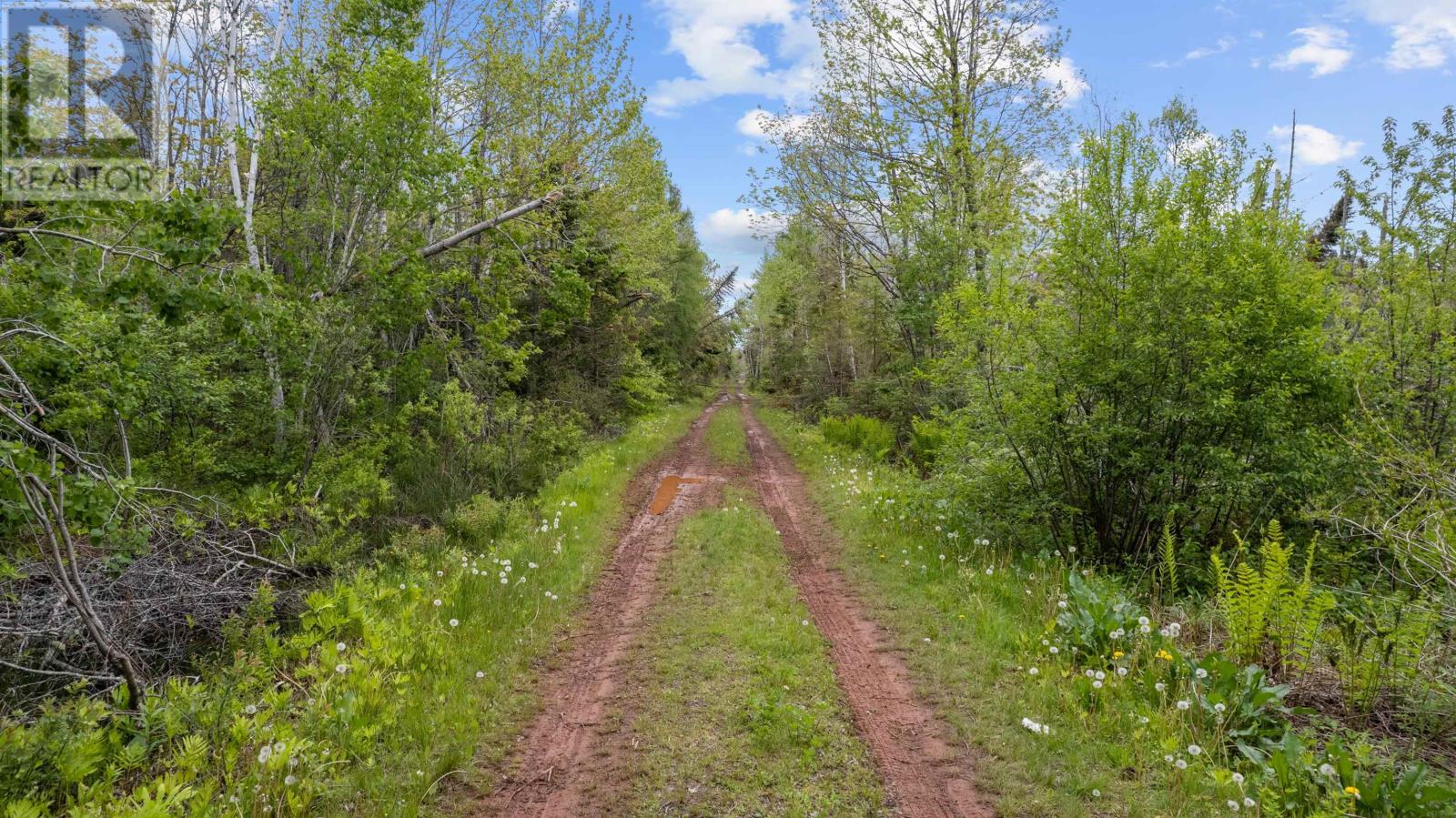 0 Adams Road, Fanning Brook, Prince Edward Island  C0A 1T0 - Photo 1 - 202617977