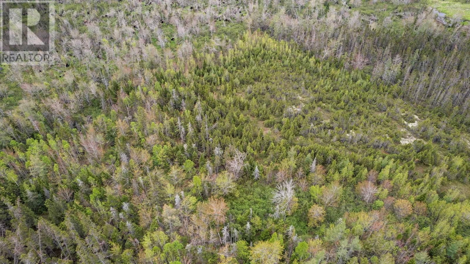 0 Adams Road, Fanning Brook, Prince Edward Island  C0A 1T0 - Photo 12 - 202617977